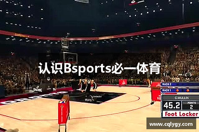 认识Bsports必一体育